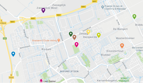 Kaart_pins